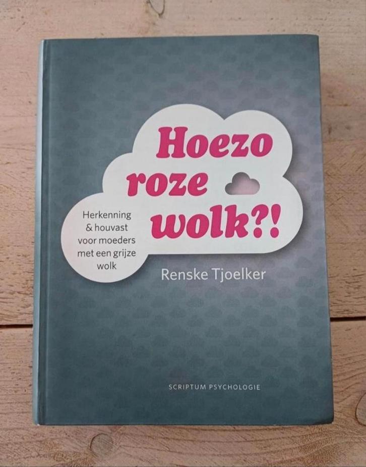 Renske Tjoelker - Hoezo roze wolk?!, Boeken, Zwangerschap en Opvoeding, Zo goed als nieuw, Zwangerschap en Bevalling, Ophalen of Verzenden