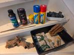 Aquarium decoratie en water kwaliteit, Vis