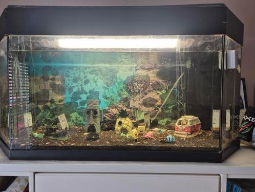 Aquarium met toebehoren zie beschrijving., Dieren en Toebehoren, Vissen | Aquaria en Toebehoren, Gebruikt, Gevuld zoetwateraquarium