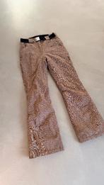 CMP skibroek dames - S/XS, Kleding | Dames, Wintersportkleding, CMP, Maat 36 (S), Gedragen, Ophalen