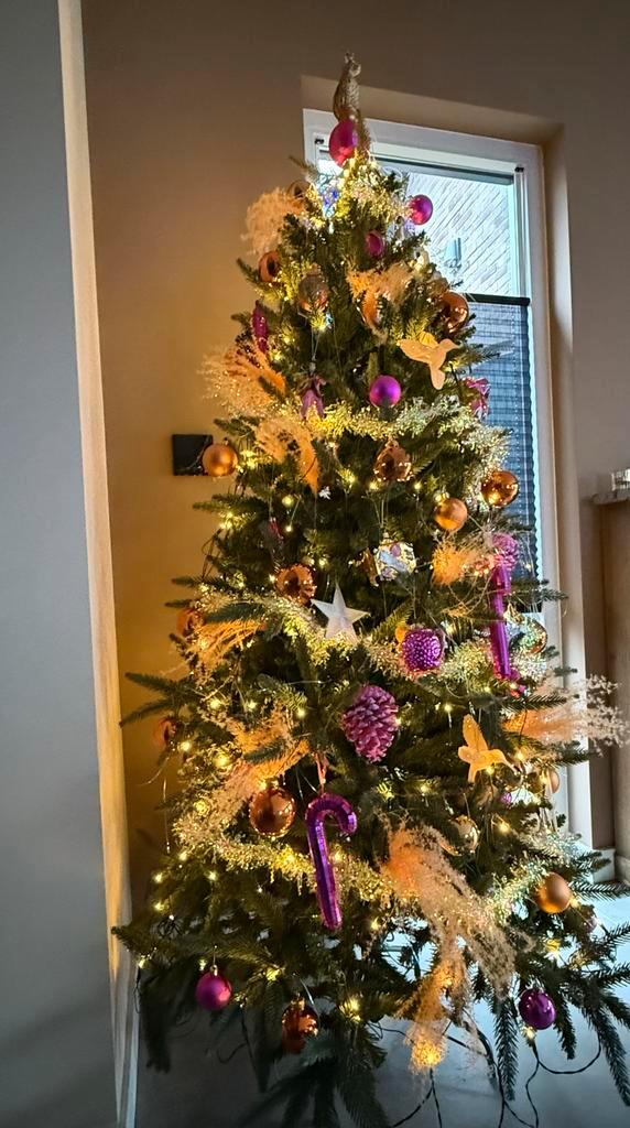 Kerstboom blackbox atlantic pine 185cm, Diversen, Kerst, Zo goed als nieuw, Ophalen