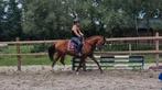 SUPER LEUKE PONY VOOR DE RECREATIE!!!, Dieren en Toebehoren, Pony's, Merrie, D pony (1.37m tot 1.48m), Recreatiepony, 11 jaar of ouder
