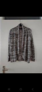 Nielsson vest - maat S, Kleding | Dames, Truien en Vesten, Ophalen of Verzenden, Zo goed als nieuw, Maat 36 (S), Grijs