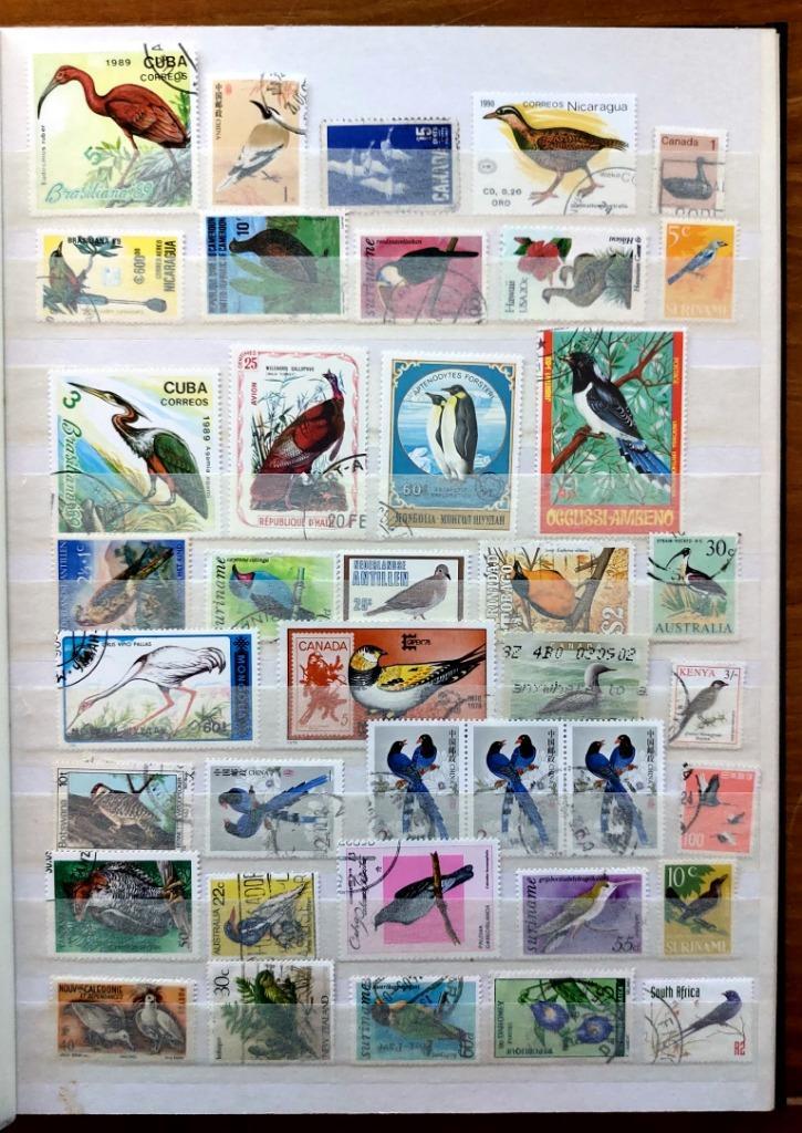 Vogel collectie thema postzegels in net album, Postzegels en Munten, Postzegels | Europa | Overig, Gestempeld, Overige landen