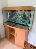 Juwel Vision 260 aquarium, Dieren en Toebehoren, Vissen | Aquaria en Toebehoren, Ophalen, Zo goed als nieuw, Leeg aquarium