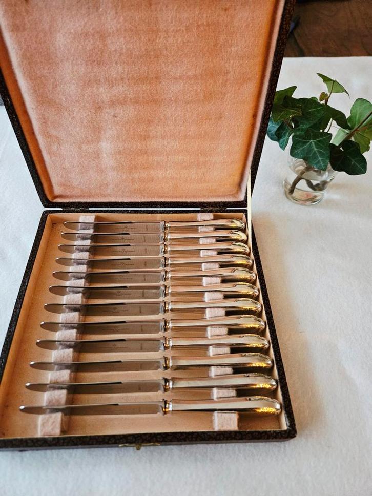 12 verzilverde fruitmesjes of dessertmesjes Keltum P2, Antiek en Kunst, Antiek | Bestek, Ophalen of Verzenden