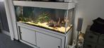 Aquarium met meubel 400 liter, Gebruikt, Ophalen, Leeg aquarium