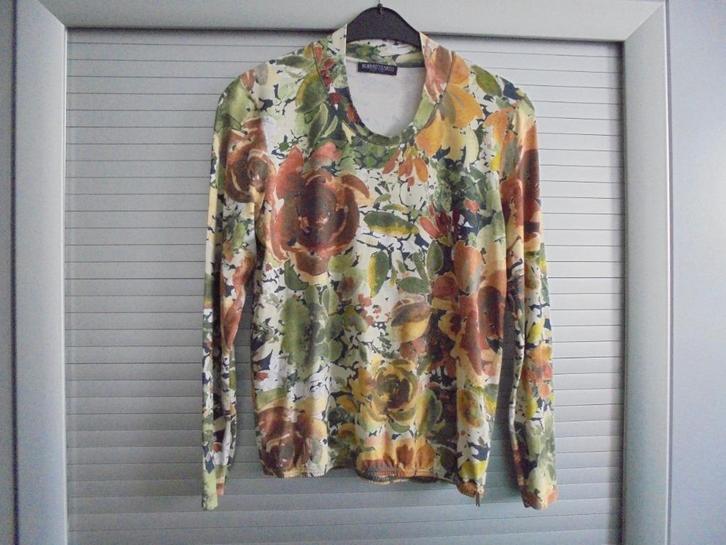 Roberto Sarto trui maat 40, Kleding | Dames, Truien en Vesten, Gedragen, Maat 38/40 (M), Overige kleuren, Ophalen of Verzenden