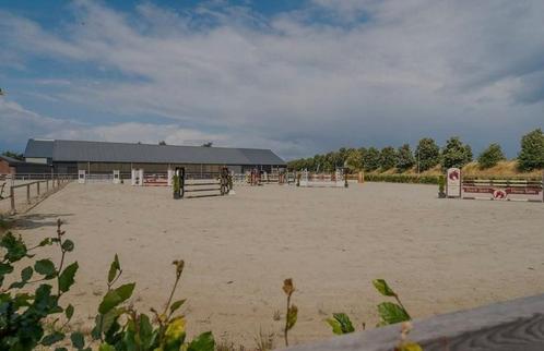 Paardenbox/en in Pensionsstal Venlo, Dieren en Toebehoren, Stalling en Weidegang