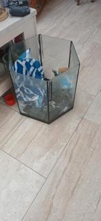 6 kantig aquarium zonder deksel., Dieren en Toebehoren, Vissen | Aquaria en Toebehoren, Ophalen, Zo goed als nieuw, Leeg aquarium