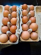 verse scharreleieren, Ophalen of Verzenden, Drinken en Voederen