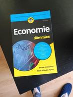 Economie voor Dummies, Nieuw, Economie en Marketing, Sean Masaki Flynn, Ophalen of Verzenden