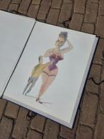 Prachtige illustraties van Max Ten Bosch GRATIS, Ophalen, Schilder- en Tekenkunst