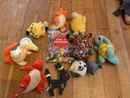 Pokemon knuffels zoekboek pikachu charmander squirtle, Ophalen of Verzenden, Gebruikt, Overige typen