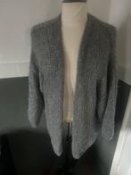 Black color one size vest grijs grof gebreid 40 42 44, Kleding | Dames, Ophalen of Verzenden, Zo goed als nieuw, Maat 42/44 (L)