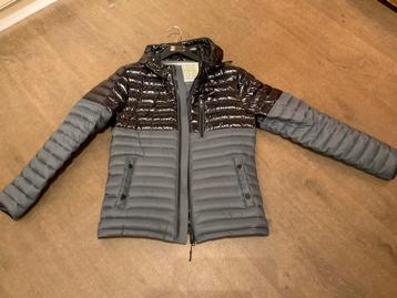 MOOSE KNUCKELS JAS NIEUW beschikbaar voor biedingen