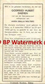 Daemen Godfried 1900 Elsloo 1959 x Welters - 21307, Verzamelen, Bidprentjes en Rouwkaarten, Bidprentje, Ophalen of Verzenden