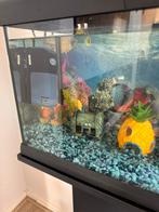 Aquarium met filter en accessoires, Dieren en Toebehoren, Vissen | Aquaria en Toebehoren, Ophalen of Verzenden, Zo goed als nieuw