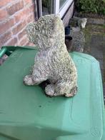 tuinbeeld van een hondje, Ophalen, Gebruikt, Beton, Dierenbeeld