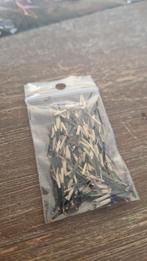 Afrikaantjes zaden voor een kleurrijke tuin, Tuin en Terras, Ophalen of Verzenden, Voorjaar, Volle zon, Zaad