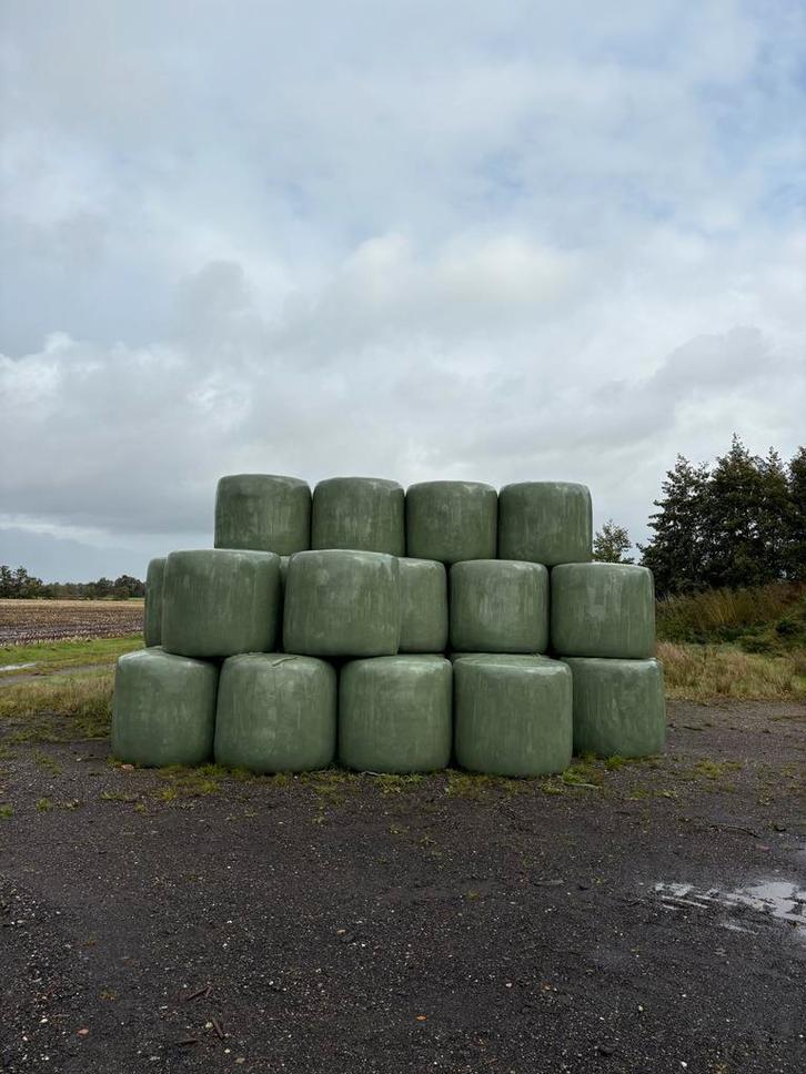 Ronde balen 1e snee, Dieren en Toebehoren, Dierenvoeding, Vee, Ophalen