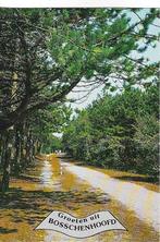 Bosschenhoofd, Ophalen of Verzenden, 1960 tot 1980, Gelopen, Noord-Brabant