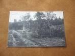 MAARN >  BOSCHGEZICHT, Verzenden, 1940 tot 1960, Ongelopen