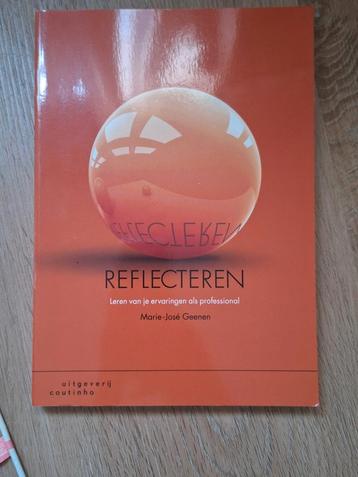 Marie-José Geenen - Reflecteren beschikbaar voor biedingen