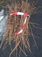 Wilgentakken voor knutselprojecten, Minder dan 3 m³, Ophalen of Verzenden, Overige houtsoorten, Takken