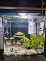 Aquarium Superfish 30 liter qubiq pro white, Dieren en Toebehoren, Ophalen