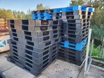137 - Pallets, hout en kunststof, opslag, transport beschikbaar voor biedingen