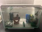 Superfish home 25, Dieren en Toebehoren, Vissen | Aquaria en Toebehoren, Ophalen, Zo goed als nieuw, Leeg aquarium