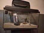 Startklaar 60L aquarium, Ophalen, Zo goed als nieuw, Leeg aquarium