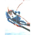 10 lithos " Skiën  " van Anneke Dekkers , samen € 90, Sport en Fitness, Nieuw, Overige merken, Overige typen, Ophalen of Verzenden
