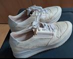 Dlsport sneakers maat 39 creme beige, Kleding | Dames, Schoenen, Dlsport, Beige, Ophalen of Verzenden, Sneakers of Gympen