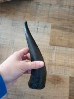 Zwarte hoorn, Verzamelen, Mineralen en Fossielen, Ophalen of Verzenden