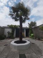 GRATIS!! Tegels, tuinbestrating/ witte grindtegels, Tuin en Terras, Overige soorten, 100 tot 250 cm, Zomer, Ophalen