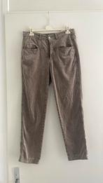 Closed Pedal Pusher maat 48 (NL 42) in leverkleur, Bruin, Closed, Maat 42/44 (L), Ophalen of Verzenden