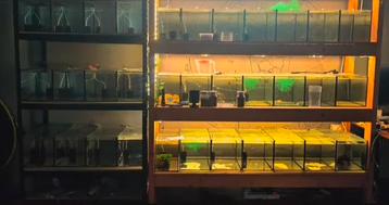 Aquarium stelling met aquariums beschikbaar voor biedingen