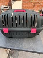 Kattenreis bakje, Ophalen of Verzenden