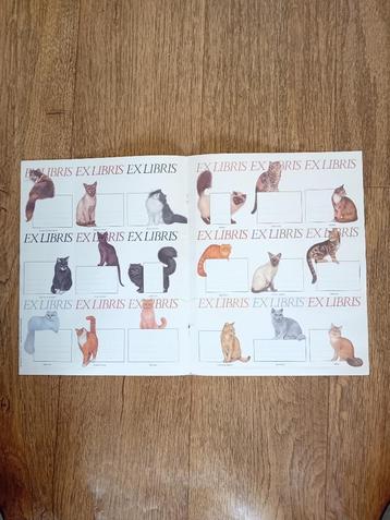 18 Poezenplaatjes beschikbaar voor biedingen
