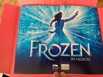 2 kaarten musical Frozen, Tickets en Kaartjes, Theater | Musical, Twee personen