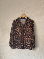 Top Pescara (M), Maat 38/40 (M), Bruin, Pescara, Ophalen of Verzenden