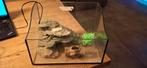 Mooi nano-aquarium met toebehoren, Dieren en Toebehoren, Vissen | Aquaria en Toebehoren, Ophalen, Zo goed als nieuw, Leeg aquarium