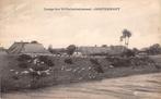 Oosterhout Langs het Wilhelminakanaal Grote kudde schapen, Ophalen of Verzenden, 1920 tot 1940, Gelopen, Noord-Brabant