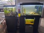Aquarium, Ophalen, Zo goed als nieuw, Leeg aquarium