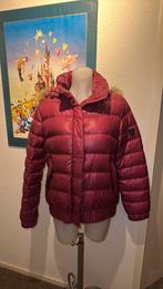 Als nieuw super mooie winterjas maat 40 merk Mc Gregor, Kleding | Dames, Jassen | Winter, Mc Gregor, Ophalen of Verzenden, Zo goed als nieuw