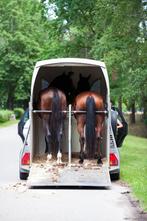 Paarden vervoer/taxi/transport, Diensten en Vakmensen, Chauffeursdiensten