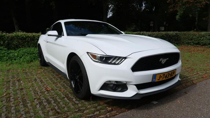 Ford Mustang 2.3 EcoBoost, Auto's, Ford, Particulier, Mustang, ABS, Achteruitrijcamera, Airbags, Airconditioning, Alarm, Bluetooth
