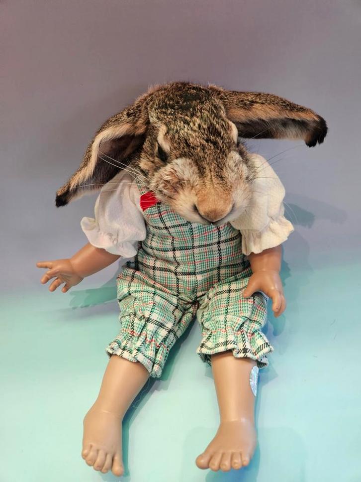 Taxidermie Haas Pop - Uniek en Handgemaakt, Verzamelen, Dierenverzamelingen, Nieuw, Opgezet dier, Boerderijdier, Ophalen of Verzenden